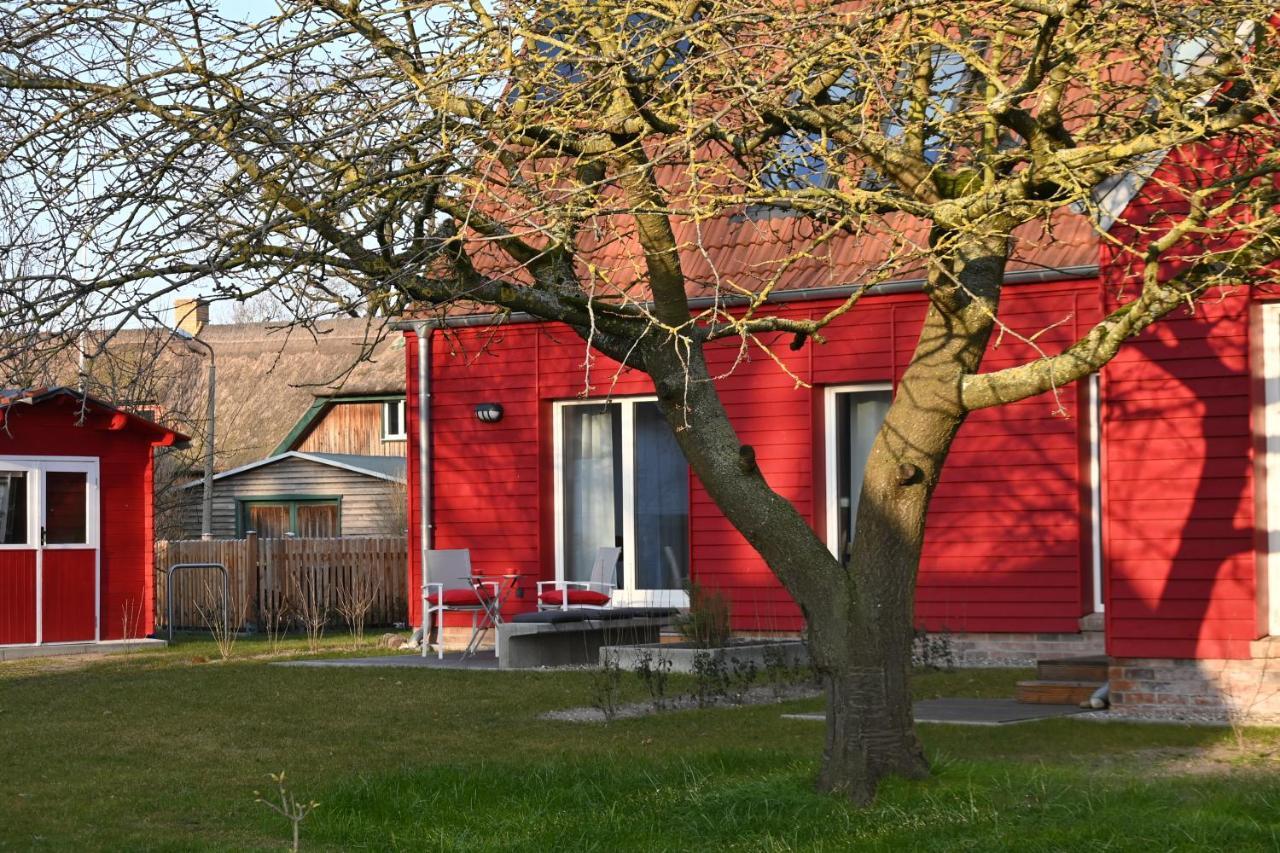 Ferienwohnung Rote Kate Born Bagian luar foto